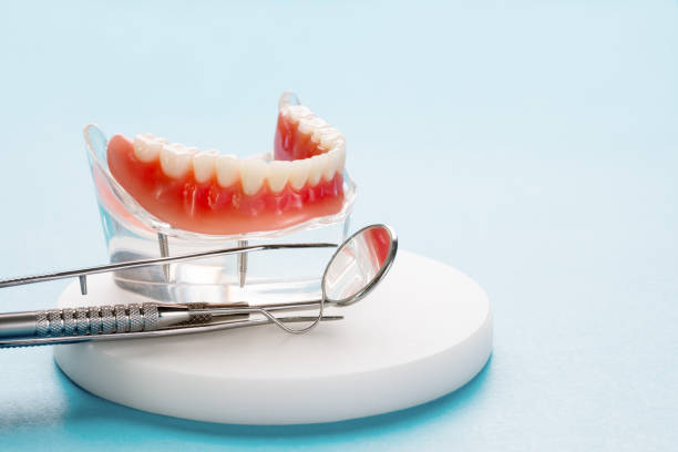 Best General Dentistry  in Nassau Village Ratliff, FL